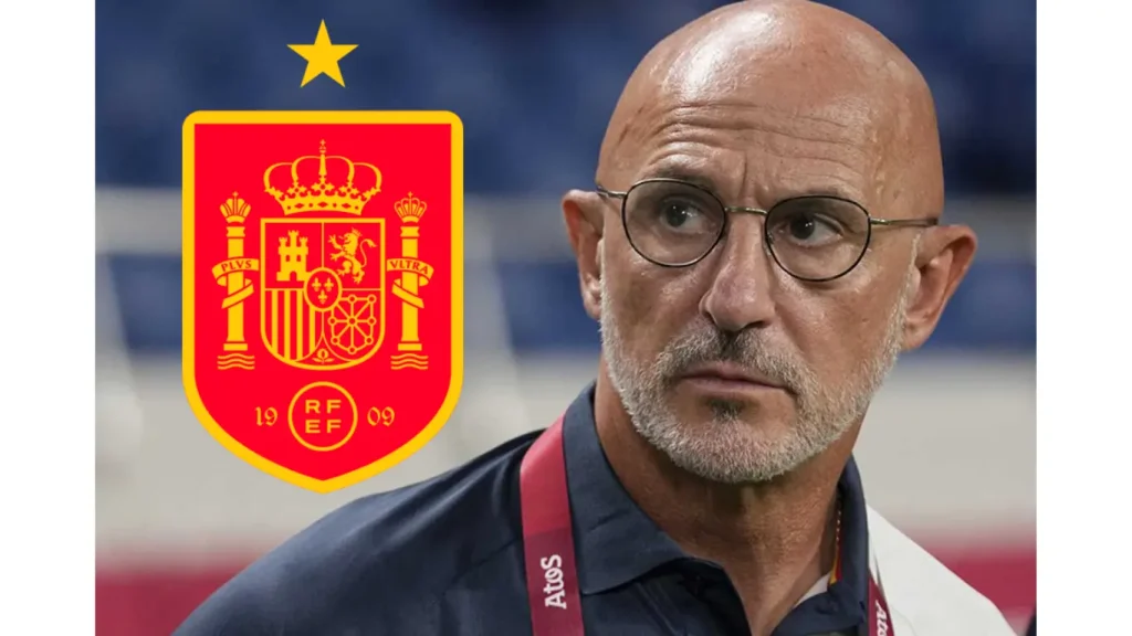 Spain - Luis de la Fuente - Tactical Analysis